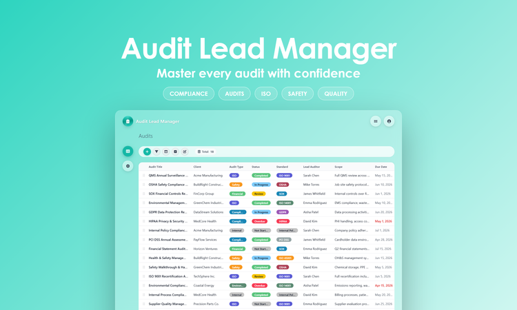 Audit Lead Manager - Dashboard