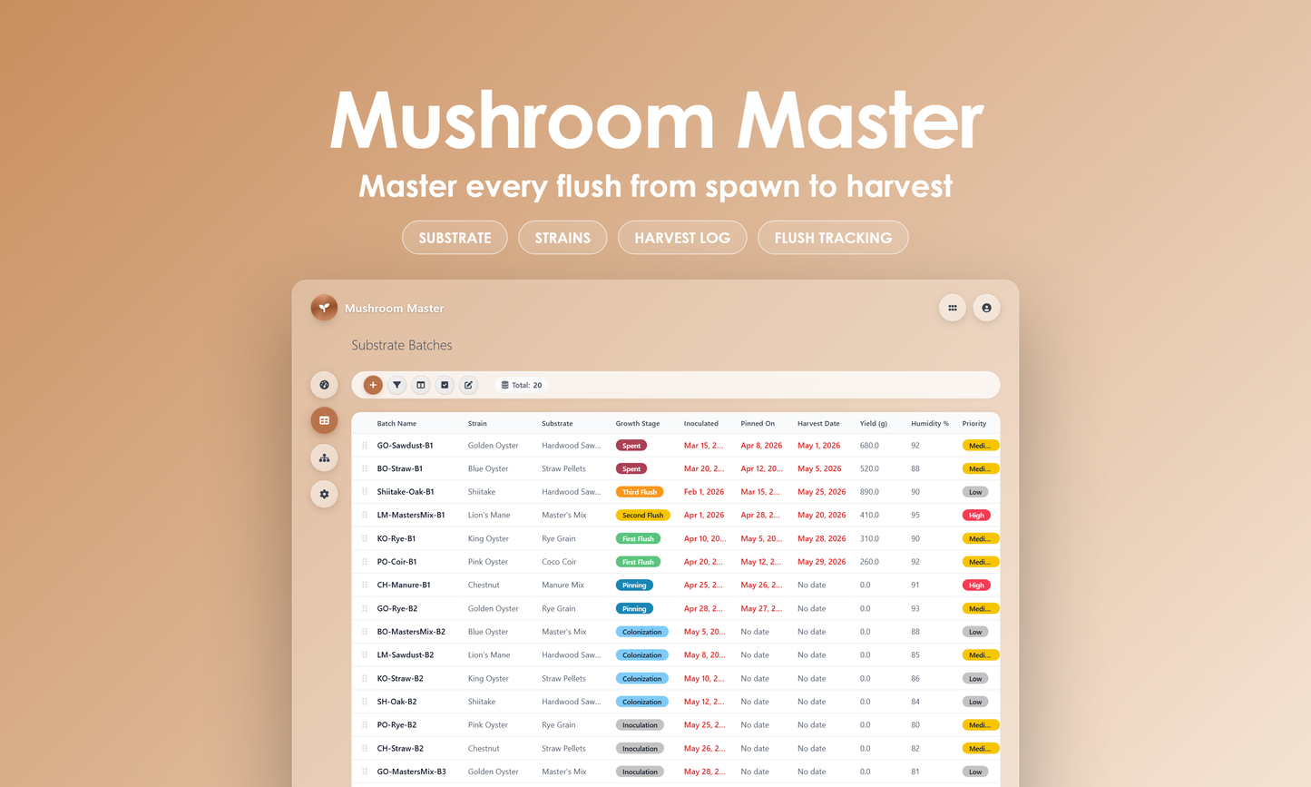 Mushroom Master - Grid